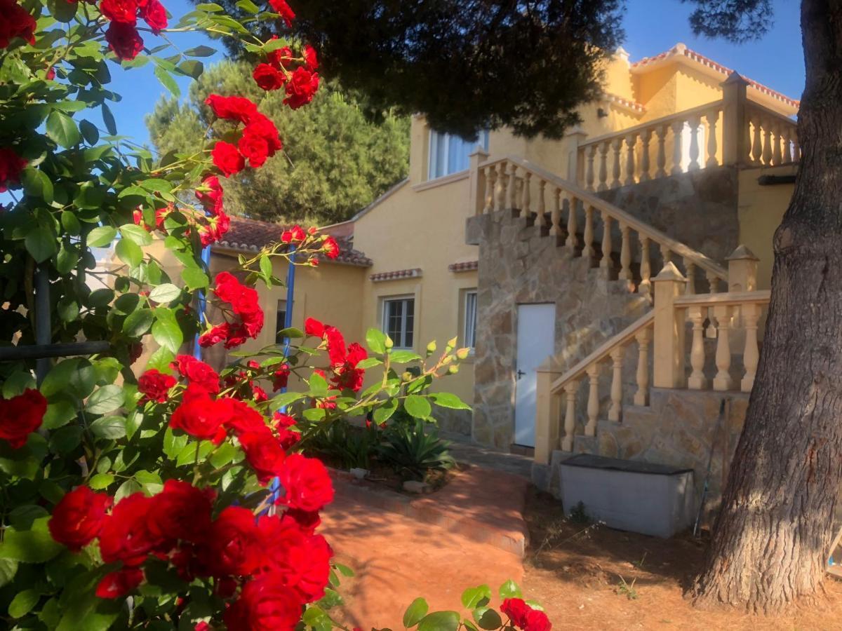 Villa Eliza Denia Exterior foto